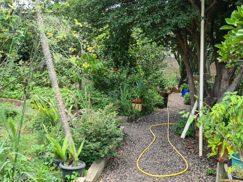 Chácara à venda Flamboyant  com 1100m² e 3 quartos por R$ 2.200.000 - 1348654745-20210120-111756.jpg