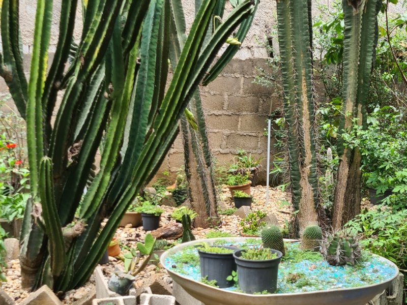 Chácara à venda Flamboyant  com 1100m² e 3 quartos por R$ 2.200.000 - 1629721754-20210120-111822.jpg