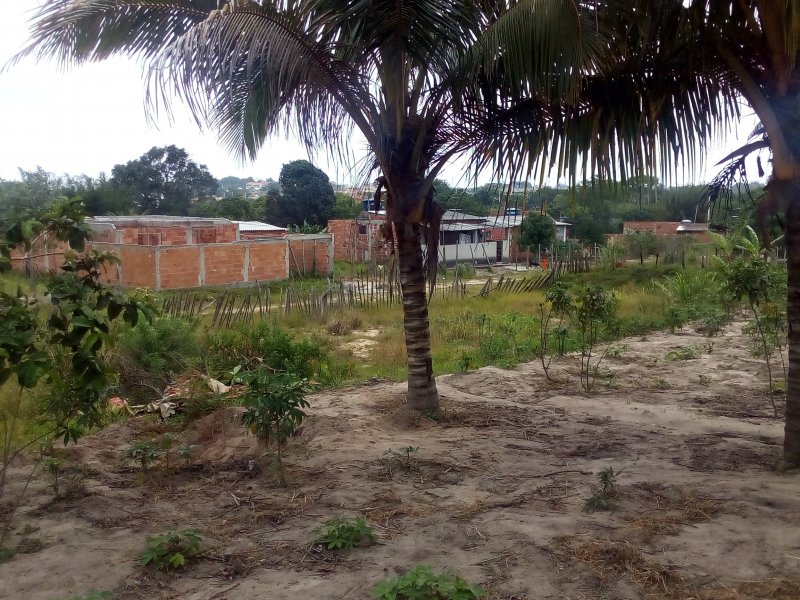 Chácara à venda Vila Canaã com 2000m² e 2 quartos por R$ 400.000 - 462466905-p-20161021-162138.jpg