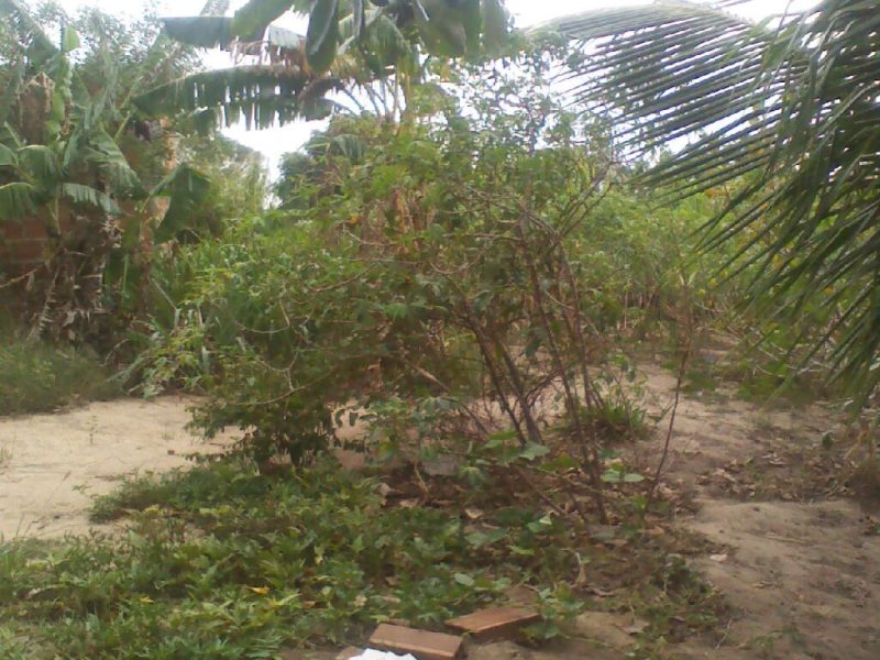 Chácara à venda Vila Canaã com 2000m² e 2 quartos por R$ 400.000 - 628425757-mar06-0014.jpg