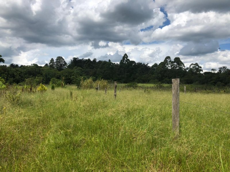 Terreno à venda Oriço com 14m² e  quartos por R$ 1.200.000 - 2053544846-chacara13.jpg