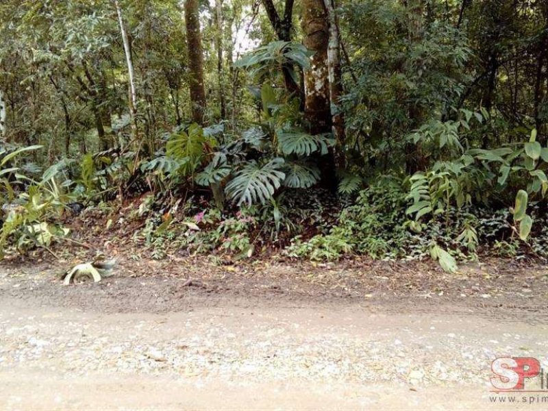 Terreno à venda Roseira com 2m² e  quartos por R$ 150.000 - 1484812392-g-20190929195147-img-20190922-wa0009.jpg