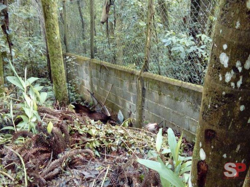 Terreno à venda Roseira com 2m² e  quartos por R$ 150.000 - 1588625292-g-20190929195148-img-20190922-wa0010.jpg