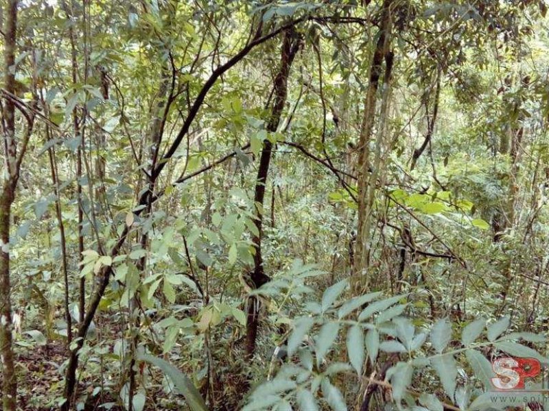 Terreno à venda Roseira com 2m² e  quartos por R$ 150.000 - 1703937447-g-20190929195142-img-20190922-wa0006.jpg