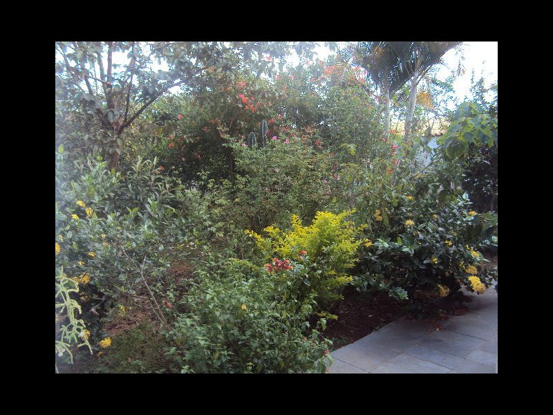 Casa à venda Santa Ruth com 540m² e 4 quartos por R$ 350.000 - 1312273092-whatsapp-image-2021-01-26-at-12.jpeg