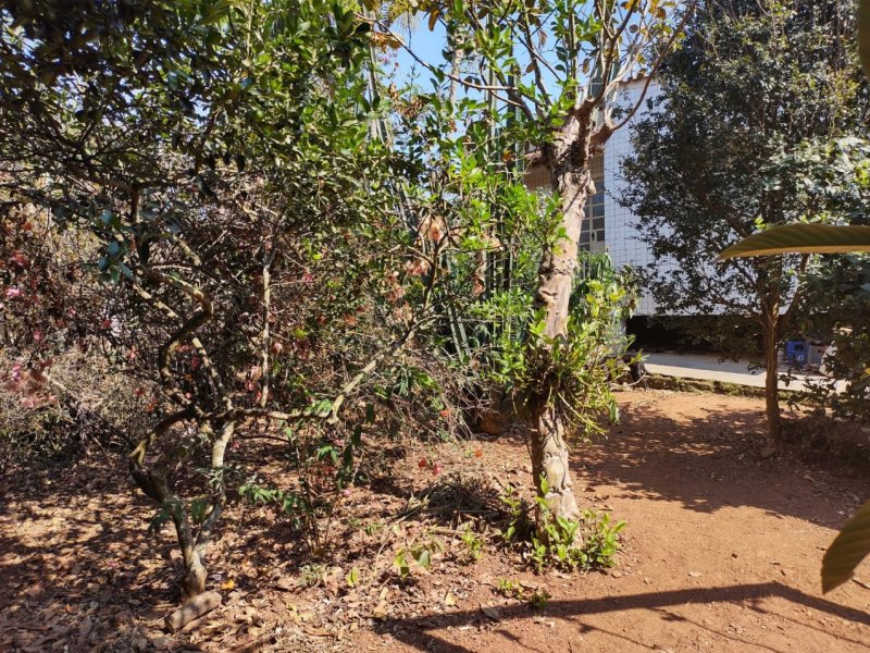 Casa à venda Santa Ruth com 540m² e 4 quartos por R$ 350.000 - 1800895053-whatsapp-image-2021-01-26-at-12.jpeg
