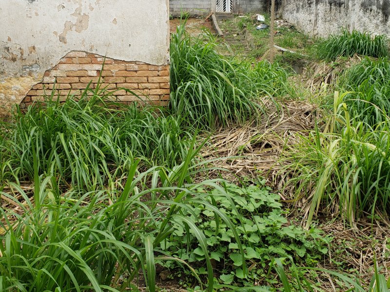 Terreno à venda Chácara Santo Antônio (Zona Leste) com 170m² e  quartos por R$ 600.000 - 523521734-20210126-105429.jpg