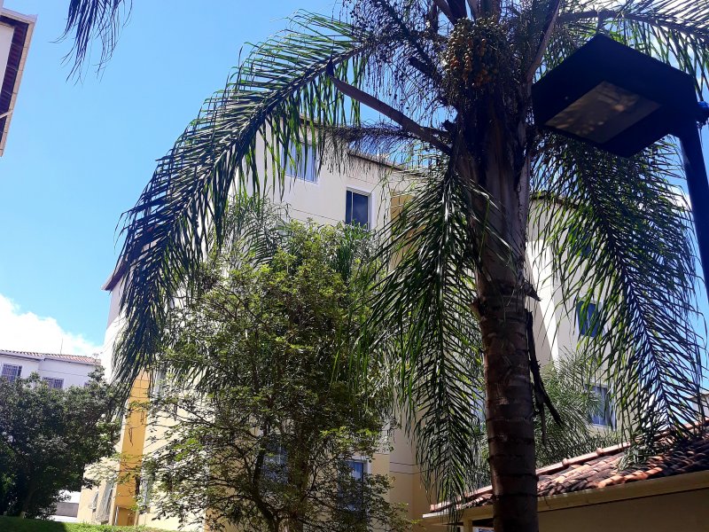 imóvel com 53m² - Niterói - Betim
