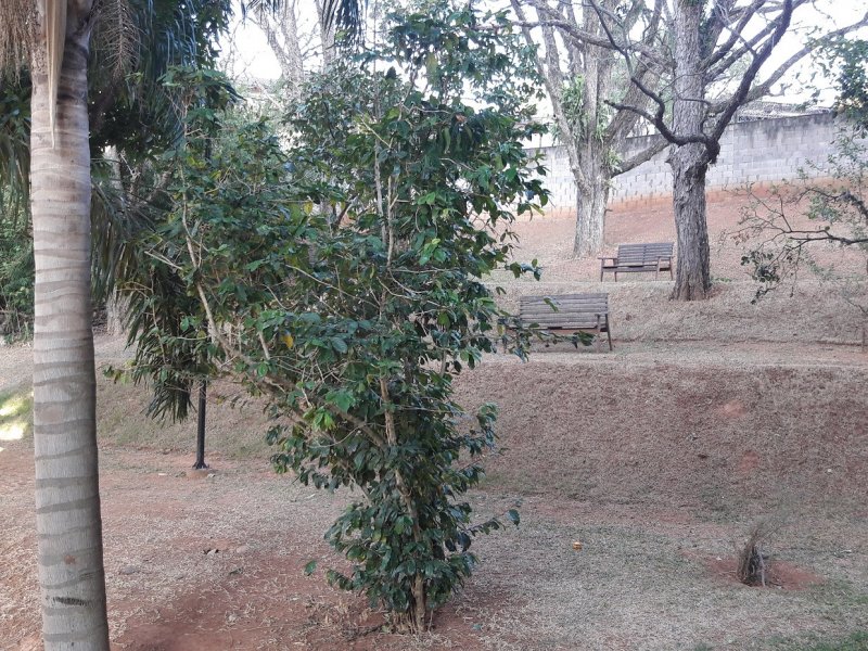 Apartamento à venda Dos Ortizes com 90m² e 3 quartos por R$ 490.000 - 797253369-bosque.jpg