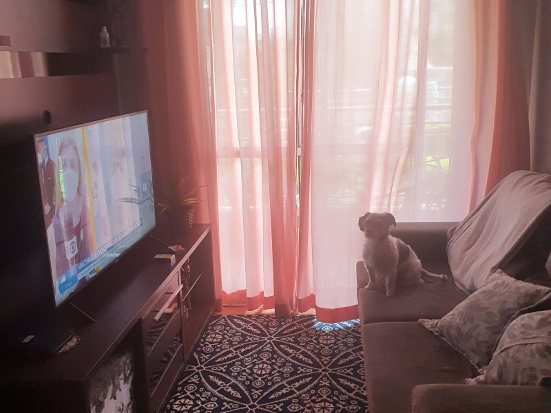 imóvel com 50m² - Vila Antonieta - São Paulo