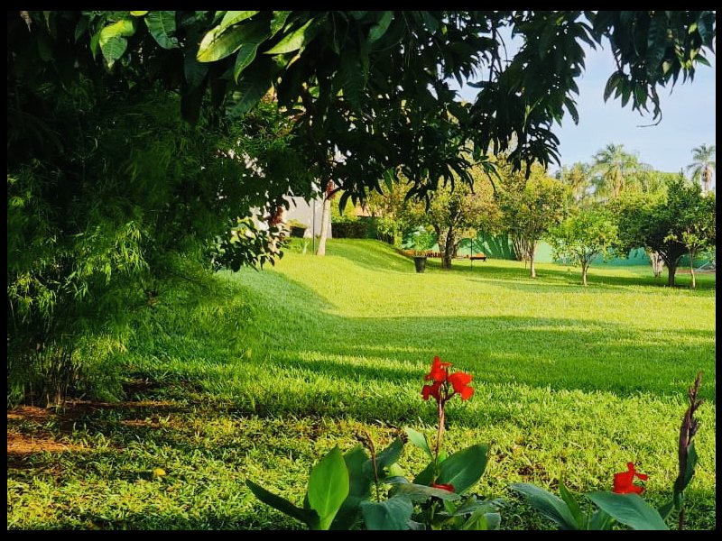 Casa à venda Cidade Jardim com 3m² e 4 quartos por R$ 2.800.000 - 1643755836-051d67a5-07a2-4fa0-abf6-2801ab2b65ca.jpeg