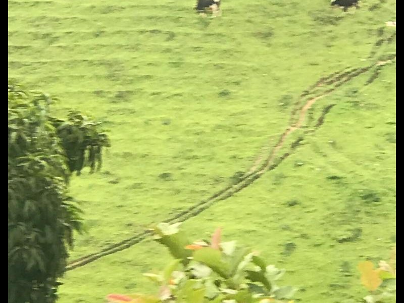 Sítio à venda Palmares com 150m² e 3 quartos por R$ 400.000 - 1918451112-cozinha-arrumada-mas-nao-esta-ainda-tao-branca-isso-eh-efeito-da-foto-6.jpeg