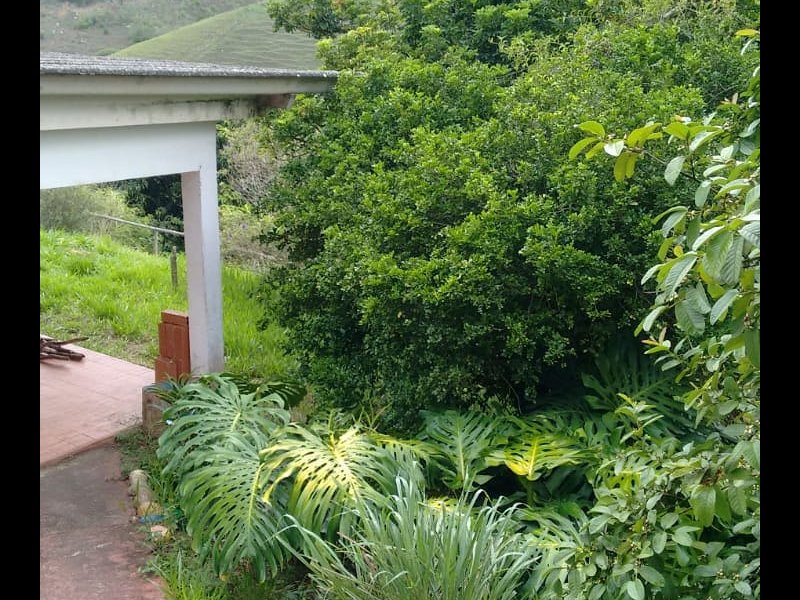 Sítio à venda Palmares com 150m² e 3 quartos por R$ 400.000 - 285172382-whatsapp-image-2021-01-06-at-17.jpeg