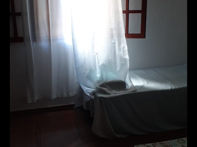 Sítio à venda Palmares com 150m² e 3 quartos por R$ 400.000 - 784880435-whatsapp-image-2021-01-22-at-12.jpeg