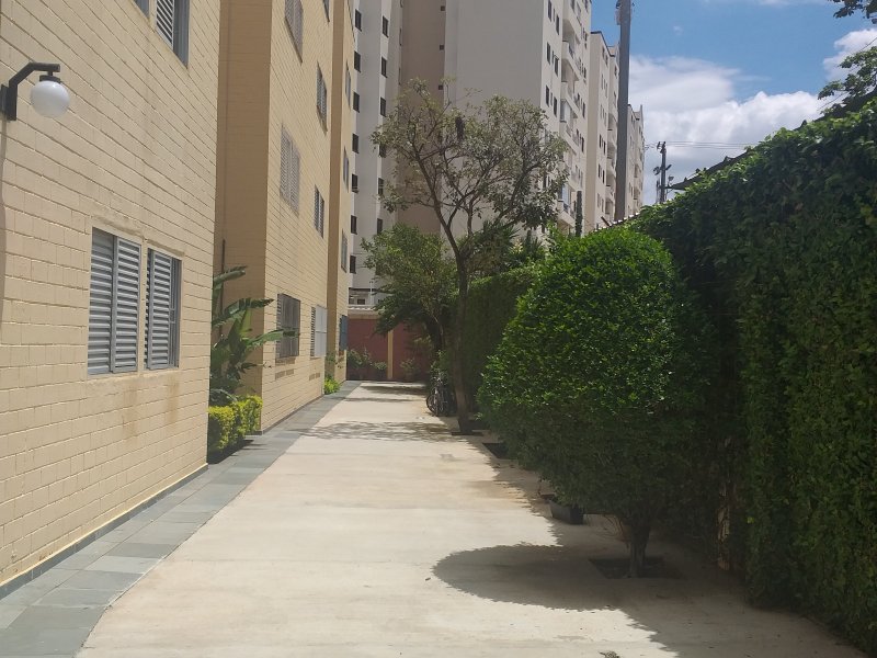 imóvel com 48m² - Vila Guararapes - Campinas