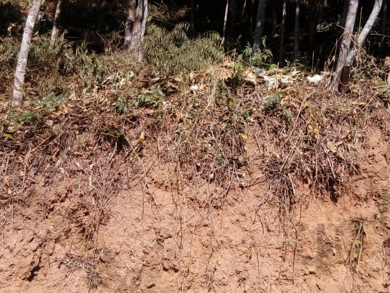 Terreno à venda Prata com 470m² e  quartos por R$ 90.000 - 1736874044-20170809-100824.jpg