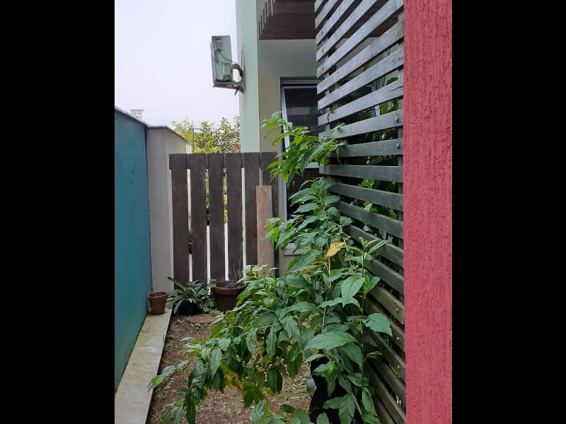 Casa de condomínio à venda Bougainvillee Residencial IV com 300m² e 4 quartos por R$ 780.000 - 2003570007-img-20201002-wa0013.jpg