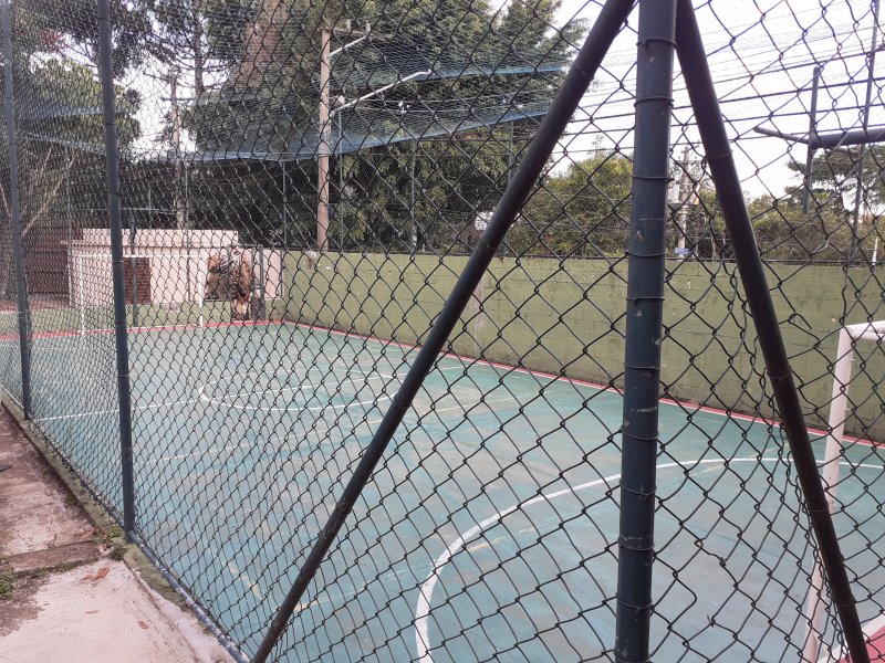 imóvel com 50m² - Jardim Casa Pintada - São Paulo