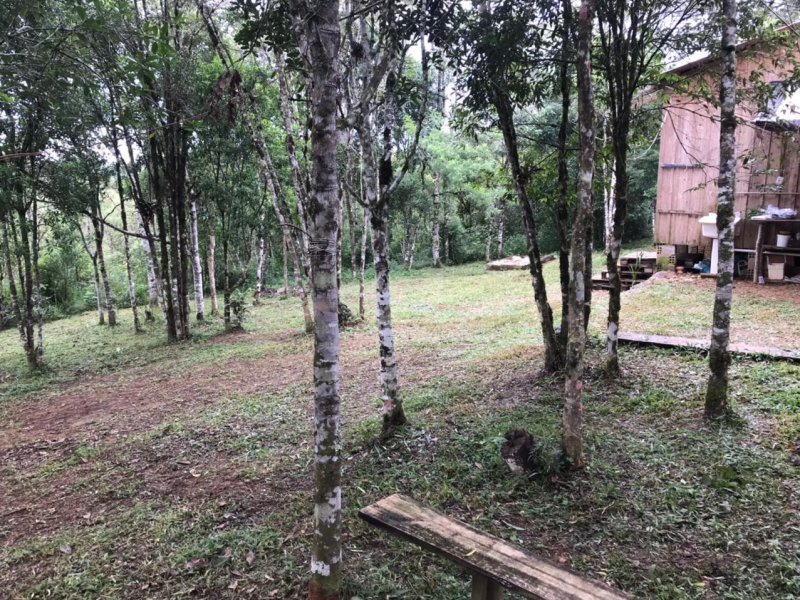 Chácara à venda São Sebastiao com 10500m² e 1 quarto por R$ 130.000 - 533534584-whatsapp-image-2021-01-25-at-09.jpeg