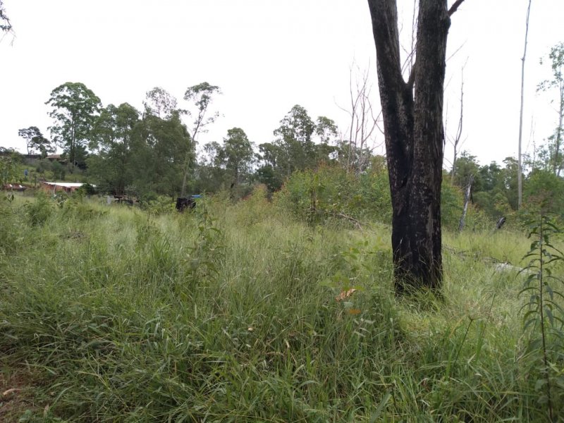 Terreno à venda Pau Arcado com 5000m² e  quartos por R$ 300.000 - 1873593802-img-20200228-wa0024.jpg