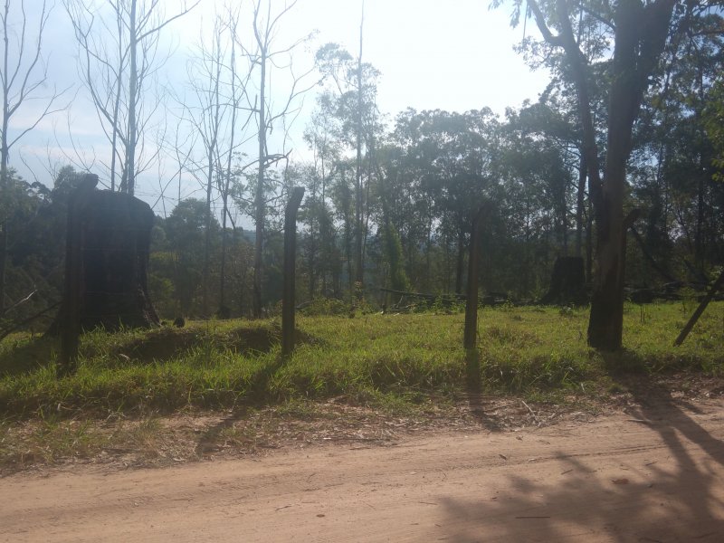 Terreno à venda Pau Arcado com 5000m² e  quartos por R$ 300.000 - 1911073491-p-20190727-144210.jpg