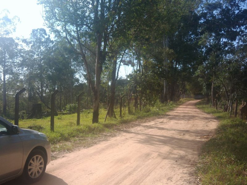 Terreno à venda Pau Arcado com 5000m² e  quartos por R$ 300.000 - 318878147-84b7a3ab-d3cc-4e63-b475-3834beb0ecfe.jpg