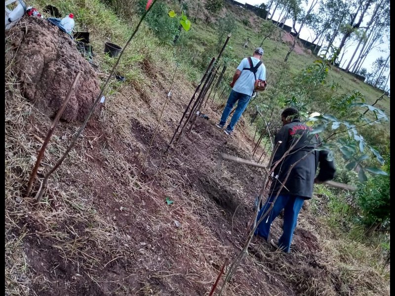 Terreno à venda Pau Arcado com 5000m² e  quartos por R$ 300.000 - 506754253-img-20200820-wa0148.jpg