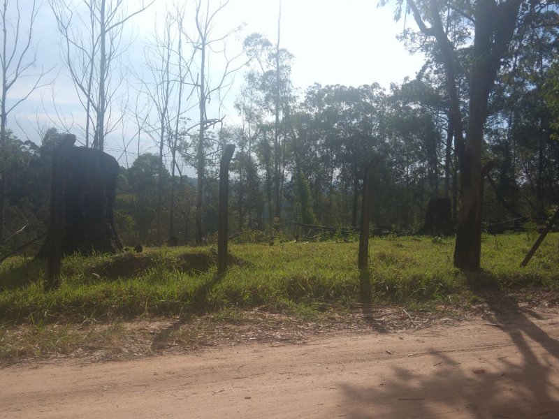 Terreno à venda Pau Arcado com 5000m² e  quartos por R$ 300.000 - 564846284-6ef4eb9c-adb0-4468-bb03-5d4f73af2d5e.jpg