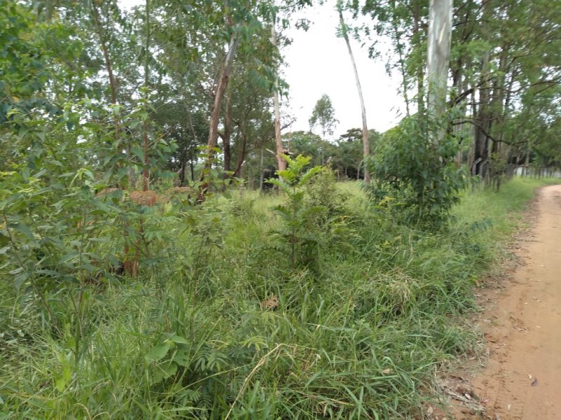 Terreno à venda Pau Arcado com 5000m² e  quartos por R$ 300.000 - 949817830-img-20200228-wa0026.jpg