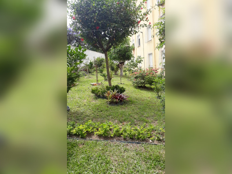 Apartamento para alugar Cristal com 52m² e 2 quartos por R$ 0 - whatsapp-image-2020-12-04-at-150126-7.jpeg