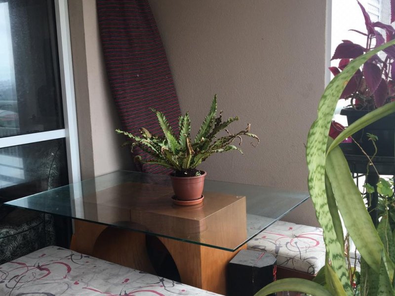 imóvel com 74m² - Vila Vera - São Paulo