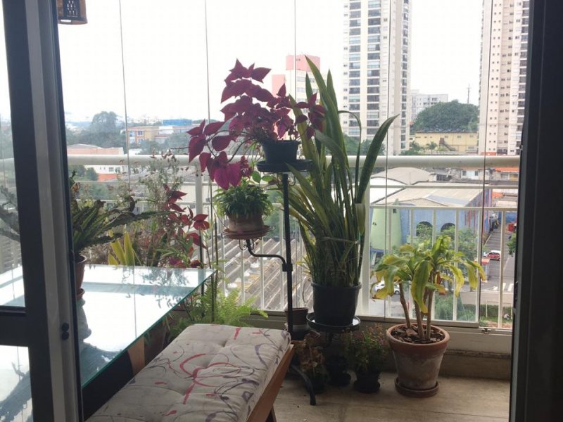 imóvel com 74m² - Vila Vera - São Paulo