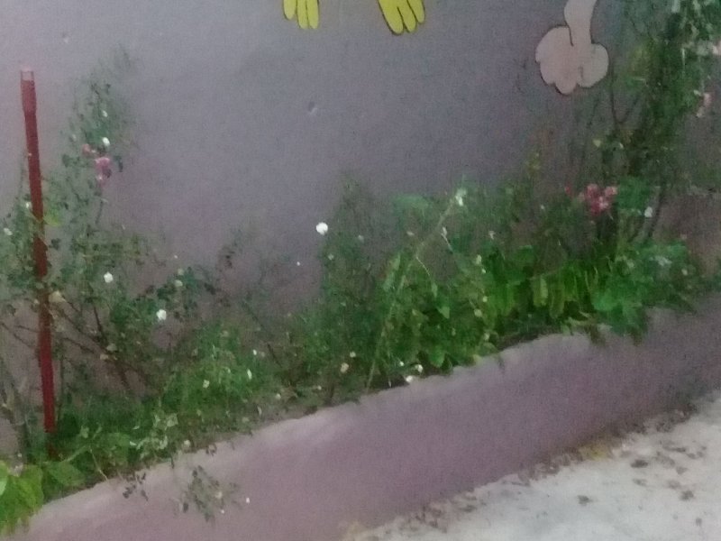 Casa à venda Coutos com 160m² e 3 quartos por R$ 150.000 - 1344858066-img-20200811-wa0046.jpeg