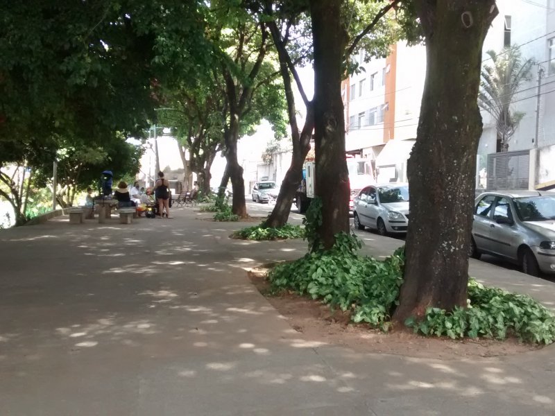 imóvel com 97m² - Sagrada Família - Belo Horizonte