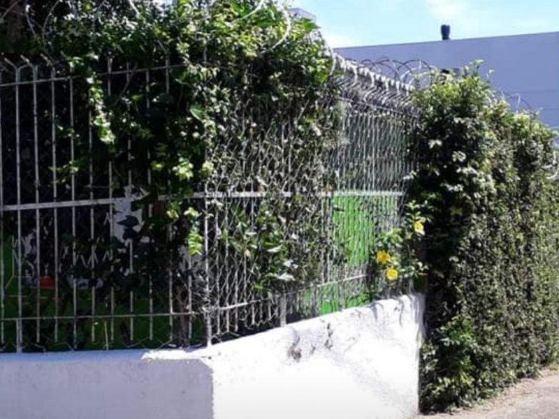 Casa à venda Tristeza com 230m² e 4 quartos por R$ 960 - 1530542494-20210204-224313.jpg