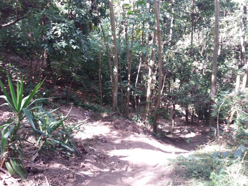 Chácara à venda Chácaras Alpina com 420m² e 4 quartos por R$ 1.350.000 - 2000877596-20200421-132104.jpg