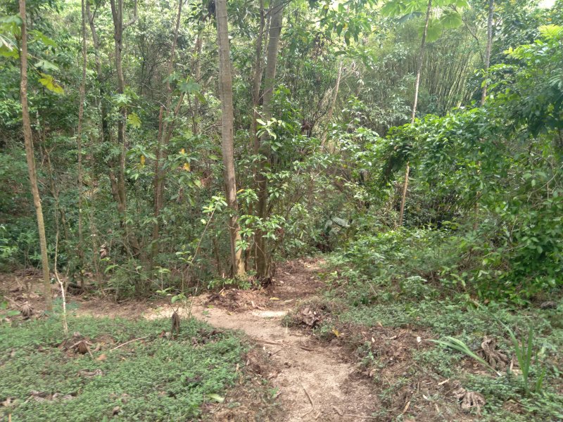 Chácara à venda Chácaras Alpina com 420m² e 4 quartos por R$ 1.350.000 - 2032802597-20201113-135603.jpg