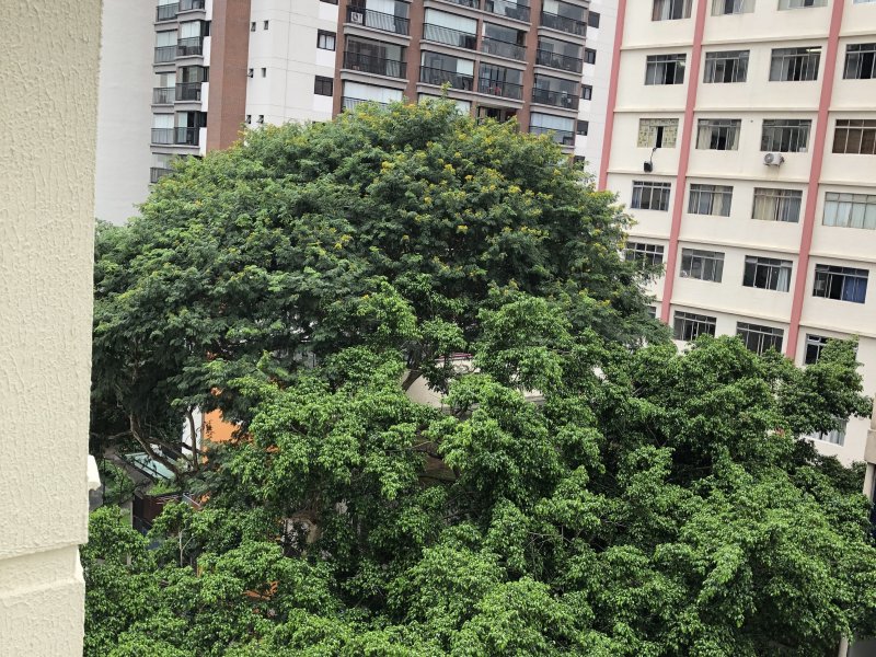 Apartamento à venda Jardim Paulista com 73m² e 3 quartos por R$ 425.000 - 130699287-arquivo-061.jpeg