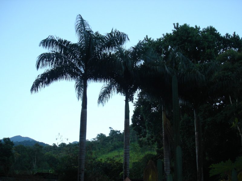 imóvel com 27000m² - Canto Azul - Paraty