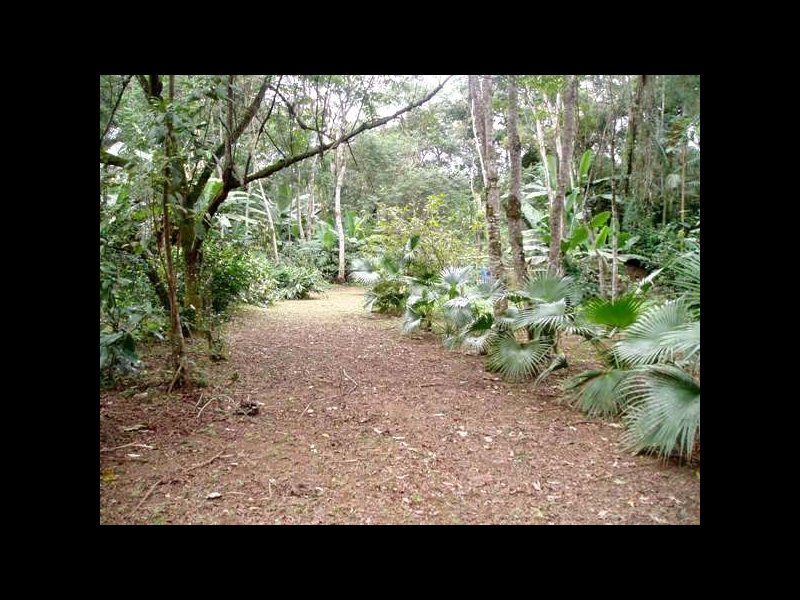 imóvel com 27000m² - Canto Azul - Paraty