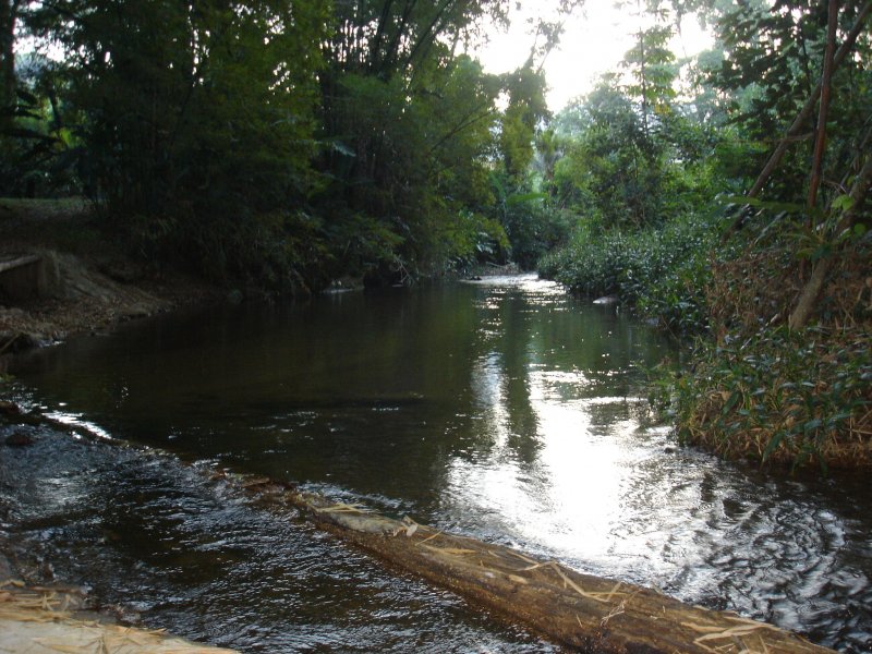 imóvel com 27000m² - Canto Azul - Paraty