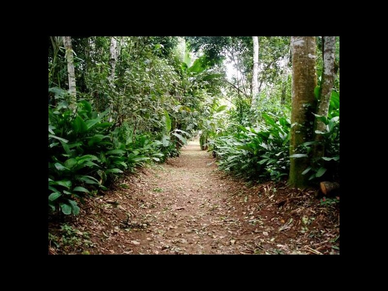 imóvel com 27000m² - Canto Azul - Paraty