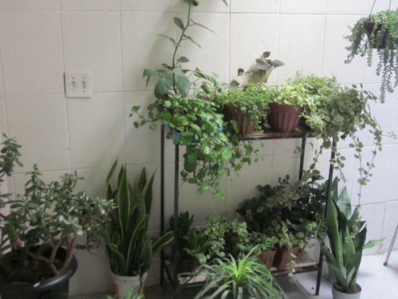 imóvel com 61m² - Dona Clara - Belo Horizonte