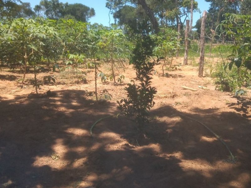 Terreno à venda Baia formosa com 360m² e  quartos por R$ 60.000 - 1072240293-3a7bbab0-686f-4ba2-a146-aad69349c139.jpg