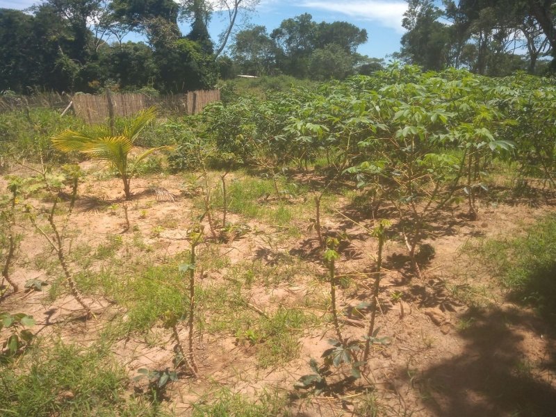 Terreno à venda Baia formosa com 360m² e  quartos por R$ 60.000 - 1173425231-96212a0a-5f00-48b2-8bba-3c338b6c854b.jpg