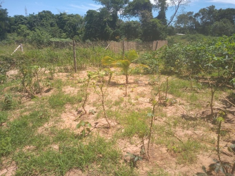 Terreno à venda Baia formosa com 360m² e  quartos por R$ 60.000 - 1392798489-6adf6fae-e9d2-4b3b-9ec7-92a4818da381.jpg