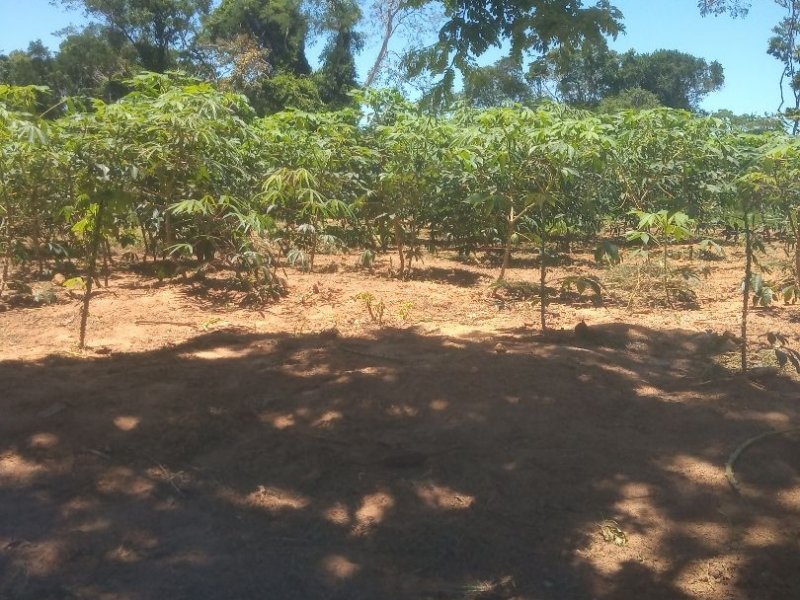 Terreno à venda Baia formosa com 360m² e  quartos por R$ 60.000 - 2113133223-8139aa30-4986-47bc-8f09-7f6422b901be.jpg