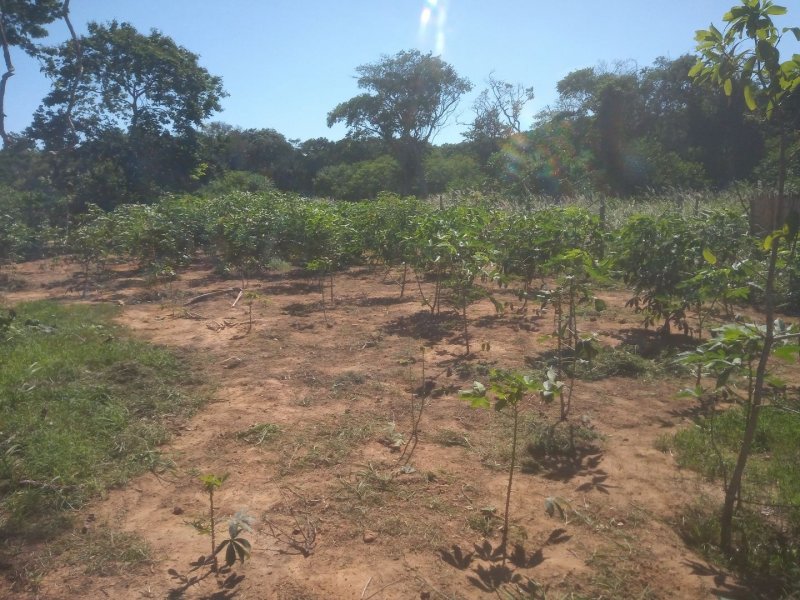 Terreno à venda Baia formosa com 360m² e  quartos por R$ 60.000 - 522346776-88edb82a-793b-49eb-86a4-b8cf6e02c092.jpg