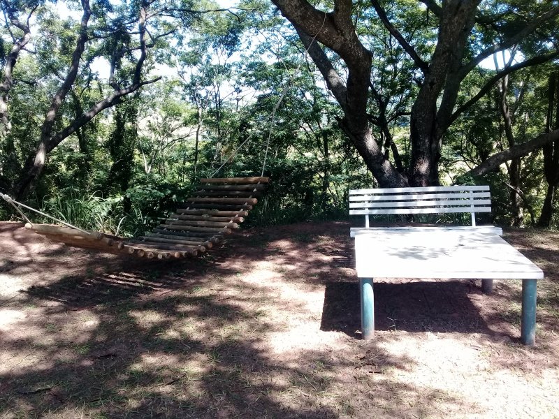 Sítio à venda Centro com 20000m² e 4 quartos por R$ 780.000 - 1501003740-41.jpg