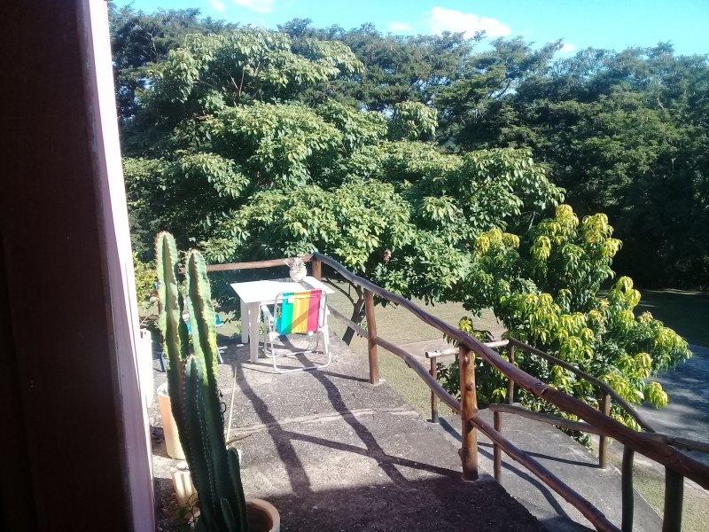 Sítio à venda Centro com 20000m² e 4 quartos por R$ 780.000 - 587291197-39.jpg